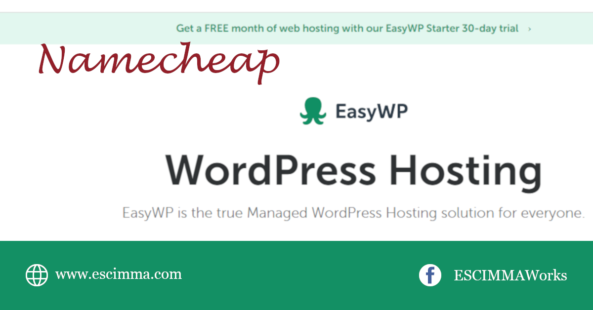 Information Wordpress Website in Namecheap EasyWP